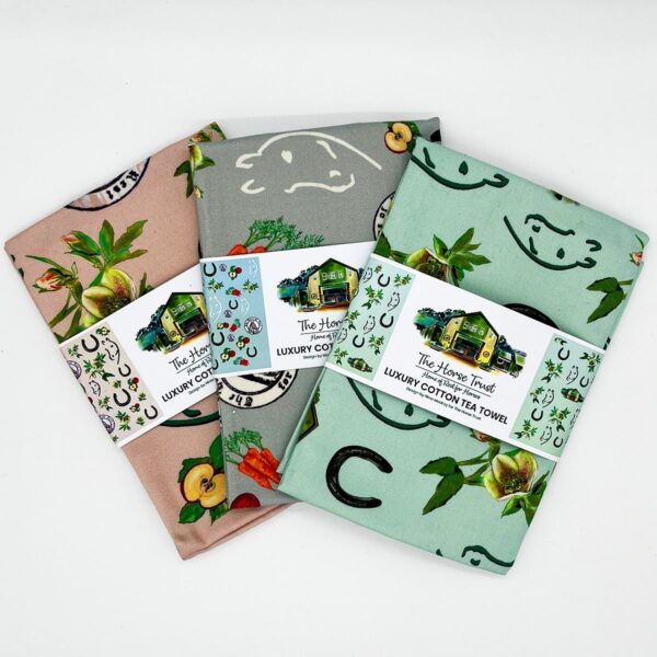 The Horse Trust Tea Towel Mint Green - Image 4