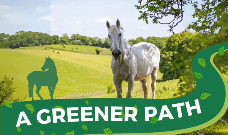 A Greener Path: Carbon Calculators and Spring Watch in Speen!